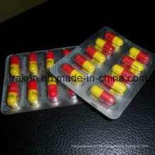 GMP Certified Cápsula Gabapentina / cápsula de brometo de Otilonium / Clinofibrate Cápsula